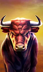 Black Bull